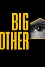 Watch Big Brother Watch123movies
